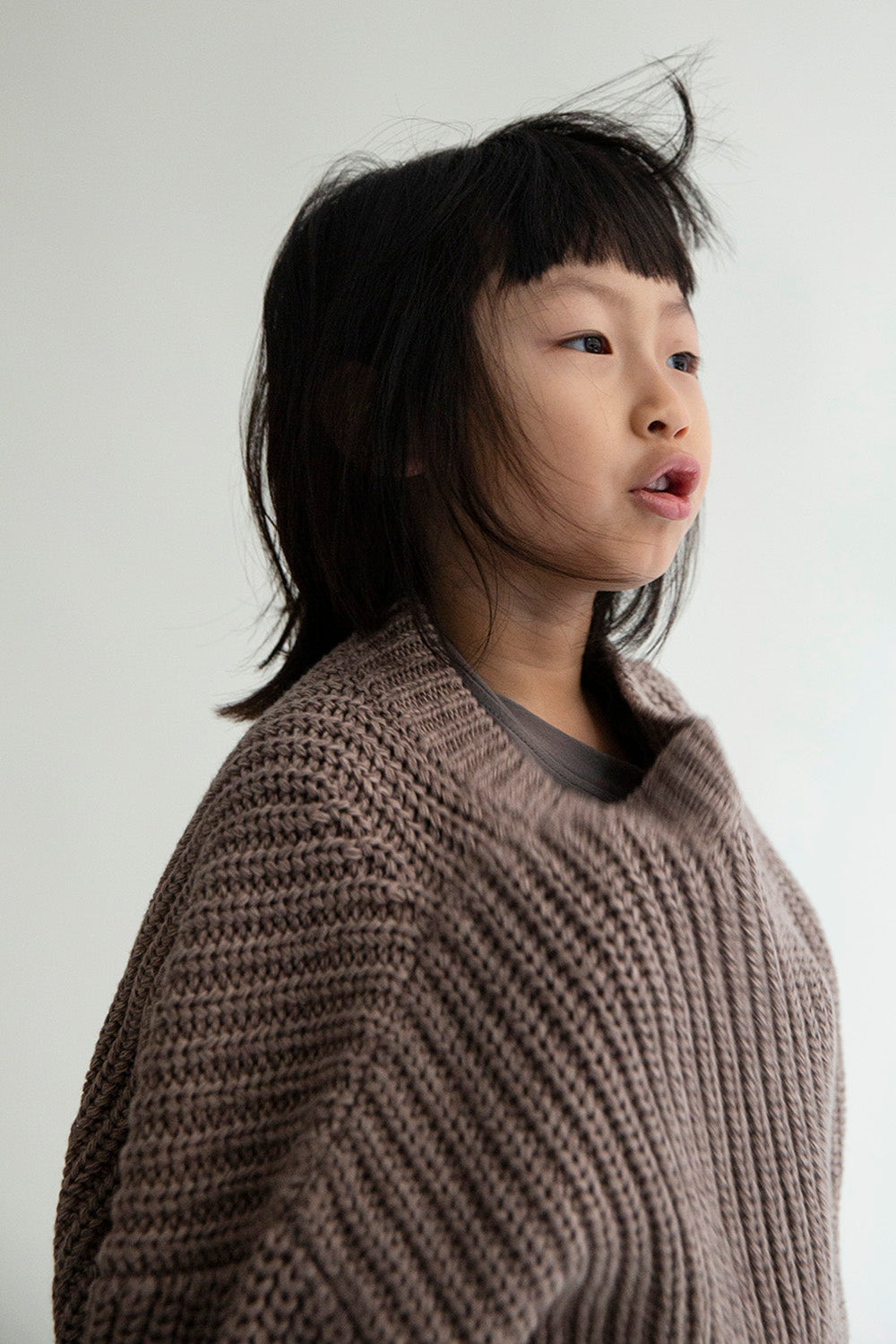 Façade Nuage Knitted Sweater in Brown