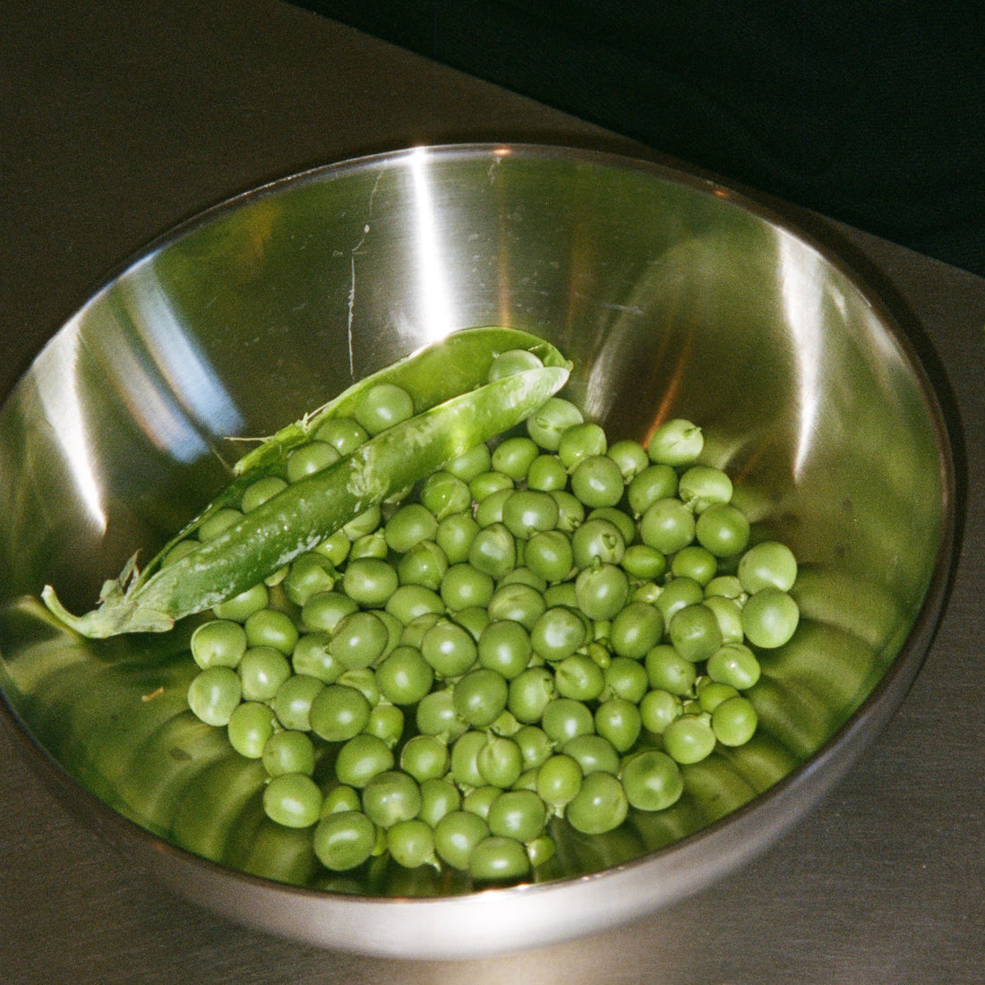 The Stainless Steel Bowl by Service Projects