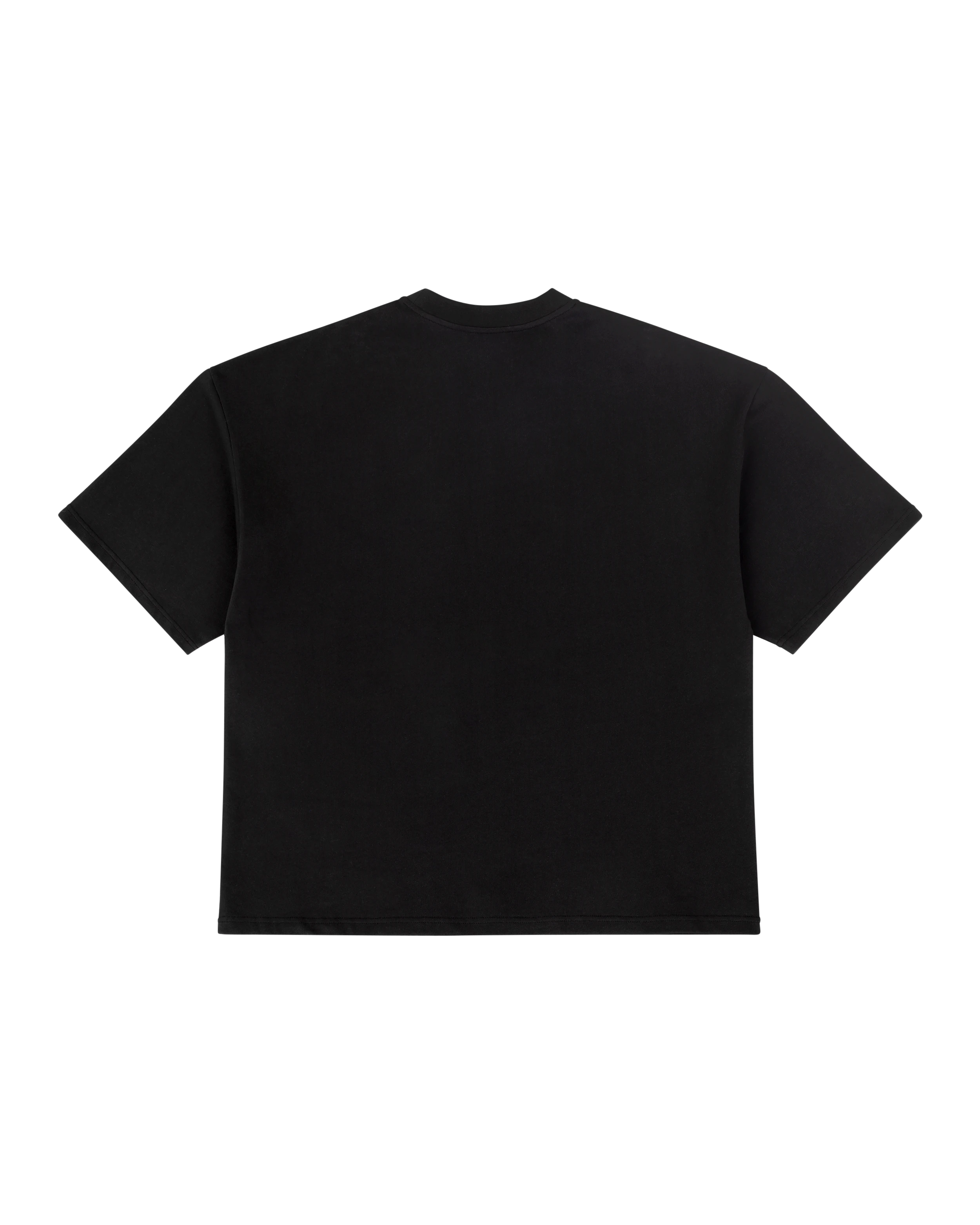 Preorder - The Heavy Boxy Tee by Entire Studios