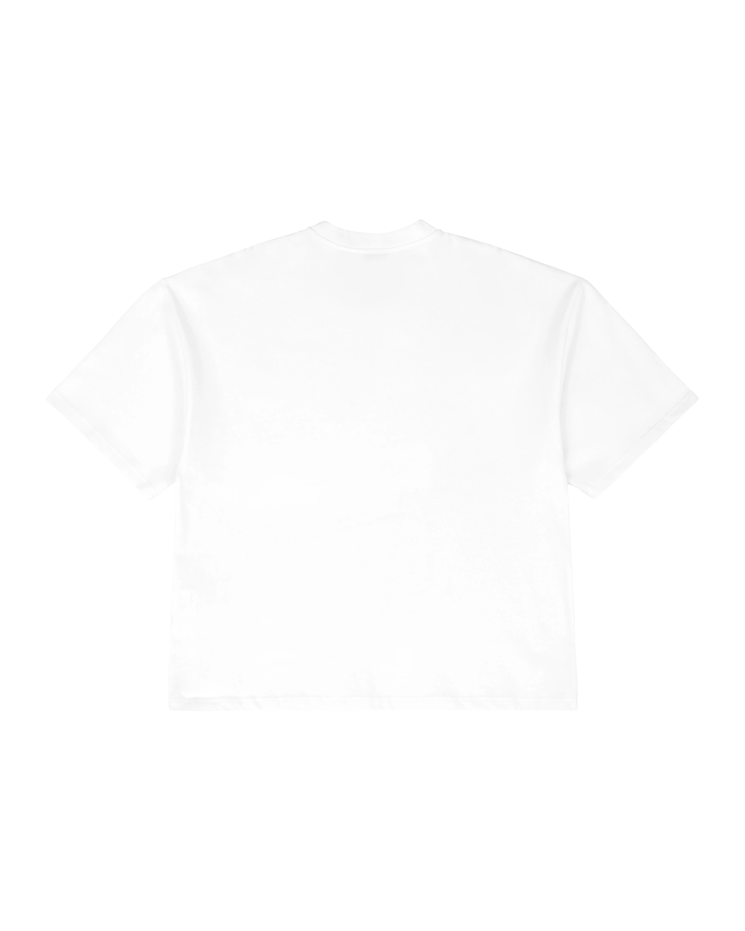 Preorder - The Heavy Boxy Tee by Entire Studios