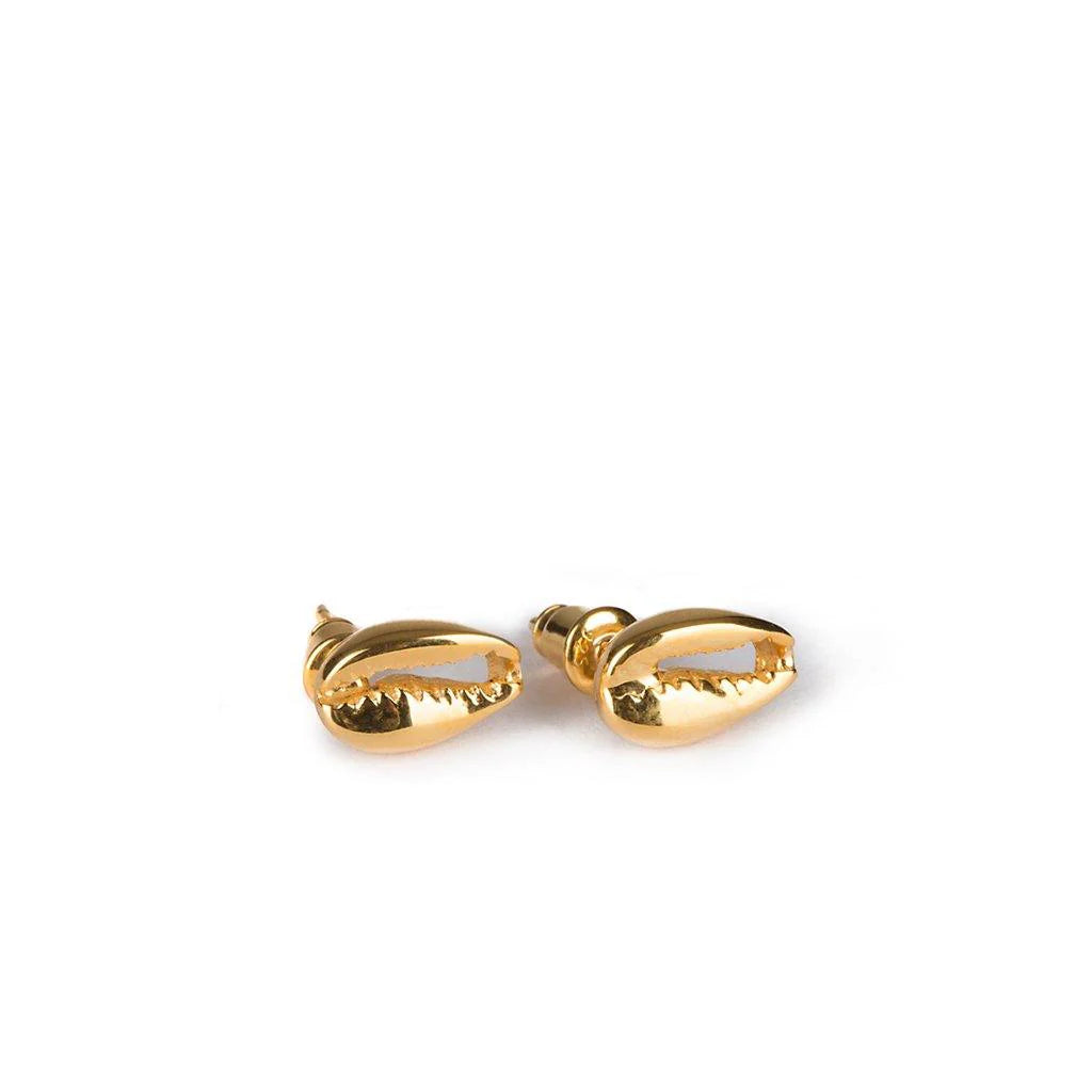 Tohum Concha Small Puka Earrings in Gold